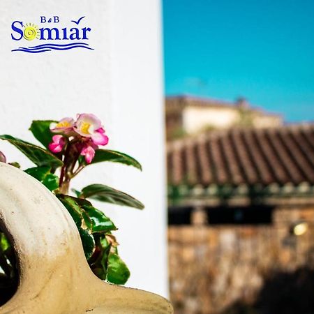 סאן תאודורו B&B Somiar מראה חיצוני תמונה